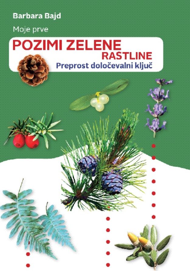 Pozimizelene.jpg