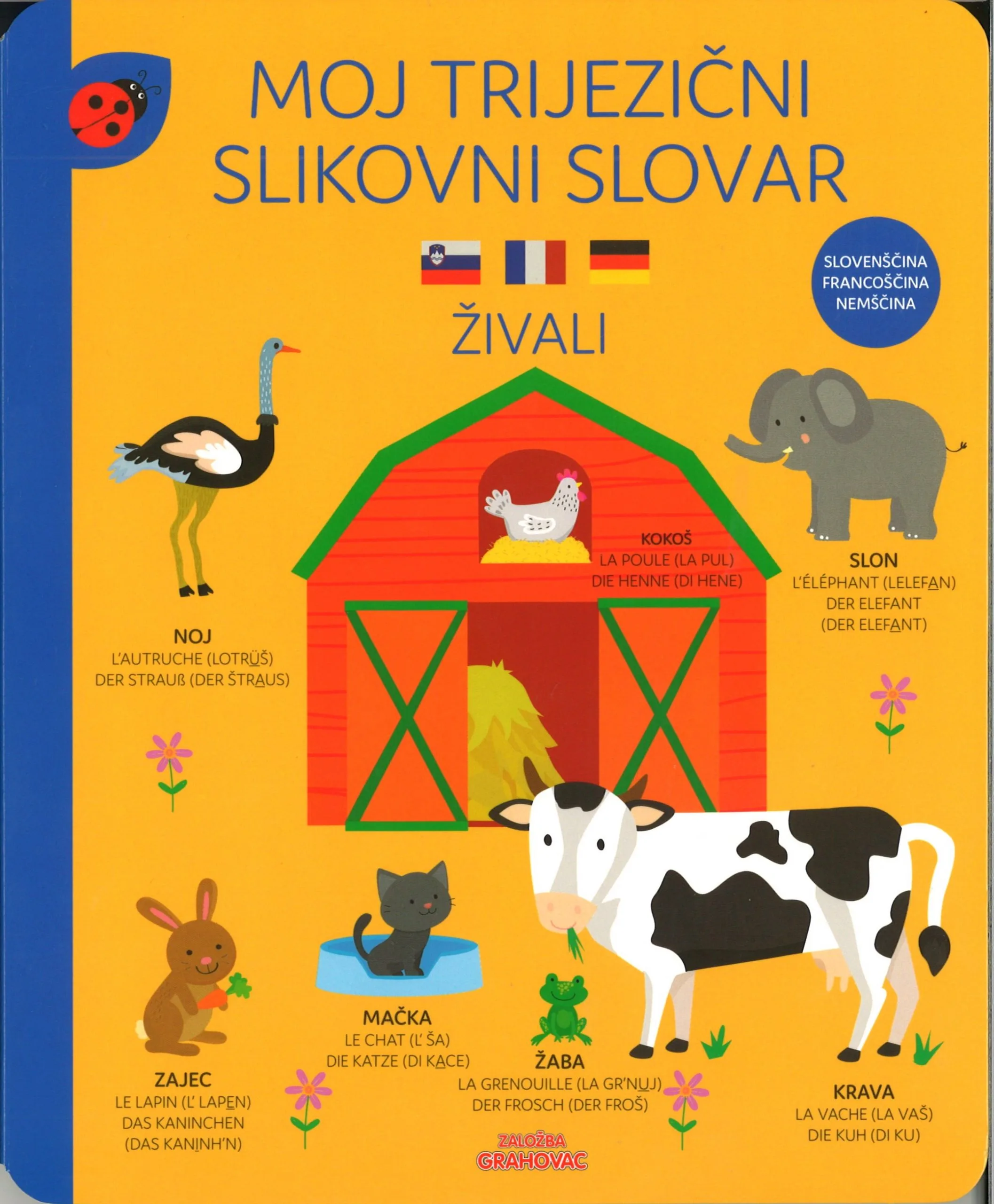 Moj-trijezicni-slikovni-slovar-Zivali-SLO-FRA-NEM-scaled.jpg.webp
